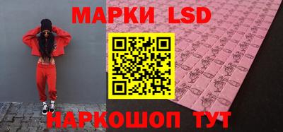 шишки Тверь