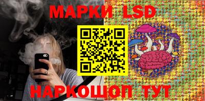 шишки Тверь
