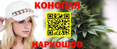 шишки Тверь