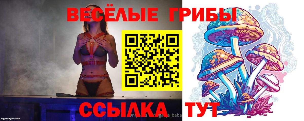 Галлюциногенные грибы прущие грибы  Вход с VPN  Муравленко  Псилоцибиновые грибы мицелий 