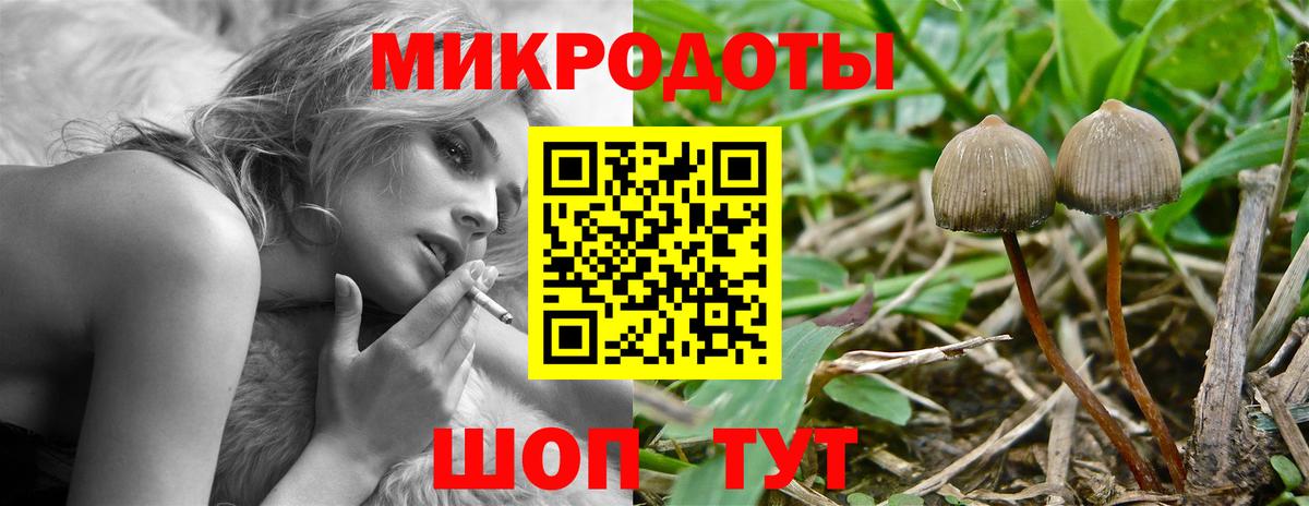 Псилоцибиновые грибы MAGIC MUSHROOMS Муравленко